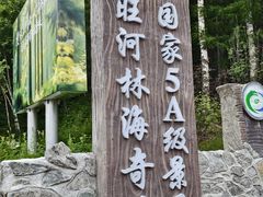 -汤旺河林海奇石景区