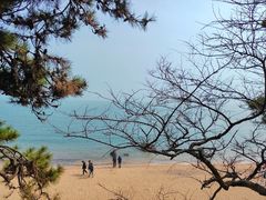 -青岛第一海水浴场