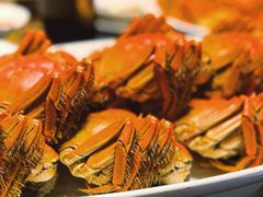 -海立阁海鲜江浙菜(漕河泾印象城店)