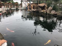 -湖鲜楼
