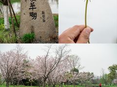 -良渚古城遗址公园