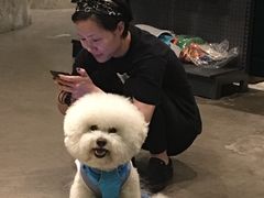 -百好乐宠物友好餐厅(朝外大街店)