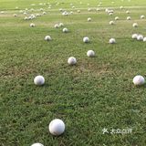 ～优雅的挥杆～️迷上高尔夫  禁足辣么久