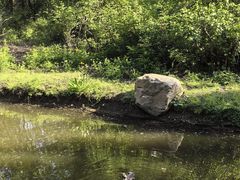 -沈阳鸟岛