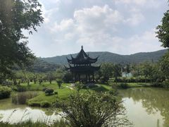 -龙寺生态园