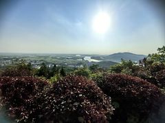 -涂山风景区