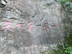 -王顺山国家森林公园