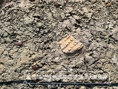 -屈家岭文化遗址