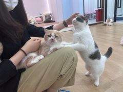 -1013 PET SHOP 宠物商店(近铁城市广场店)