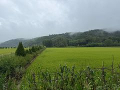 -南泥湾风景区