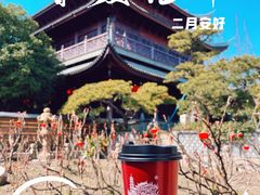 -龙华寺