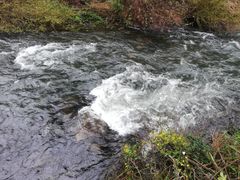 -阿哈湖国家湿地公园
