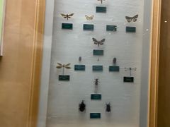 -陕西自然博物馆