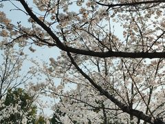-堤角公园