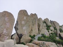 -白草畔自然风景区