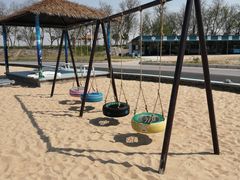 -黄海国家森林公园