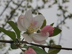 -钟山体育运动公园