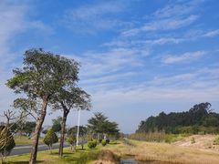 -露天矿生态公园