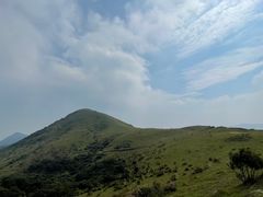 -大姆山草场