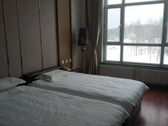 -桃山森林冰雪玉温泉