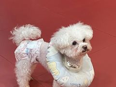 -和它·交个朋友·狗咖猫咖(爱琴海店)