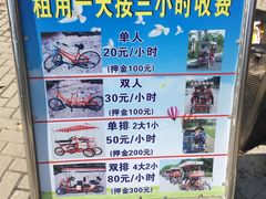 -上海海湾国家森林公园