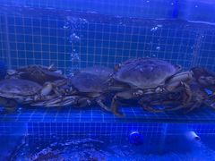 -启东小海鲜(庄先湾路1号店)