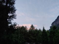 -重庆睡佛山森林公园