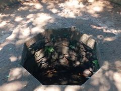 -硇洲岛旅游区