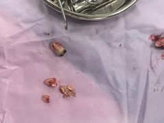 -西安交通大学口腔医院(主院区)