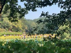 -韶山毛泽东同志故居