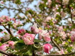 -元大都城垣遗址公园