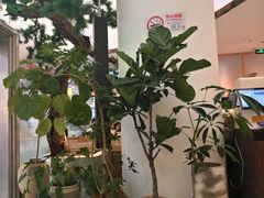 -桂满陇·手作小笼包&江南叫花鸡(中山公园店)