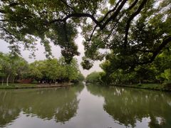 -西溪国家湿地公园