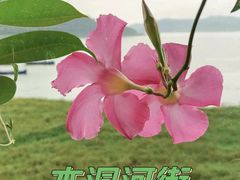 -木洞河街
