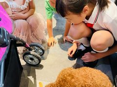 -蓝山四季西餐植物店