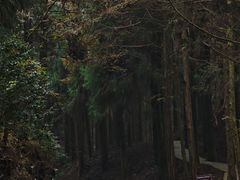 -山王坪喀斯特国家生态公园