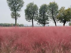 -汉长安城未央宫国家考古遗址公园