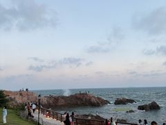 -小麦岛公园