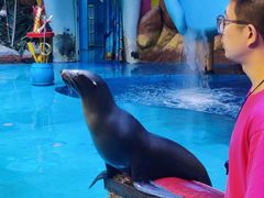 -烟台海昌鲸鲨海洋公园