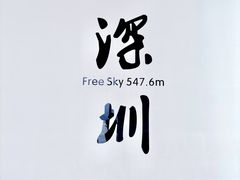 -平安金融中心云际观光层