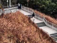 -白石龙音乐公园