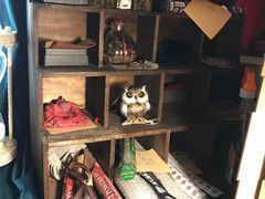 -雪灵魔法世界SHELLY’S TAROT(大良桂畔里店)