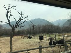 -西安秦岭野生动物园