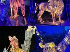 -白马涧龙池景区