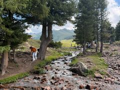 -新疆那拉提国家旅游度假区