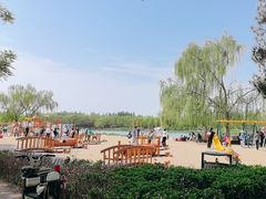 -大兴滨河森林公园