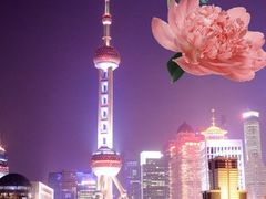 -东方明珠广播电视塔
