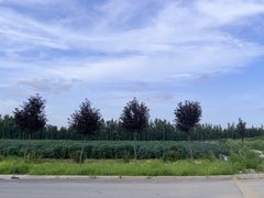 -八宝牛潮汕鲜牛肉火锅(净月店)
