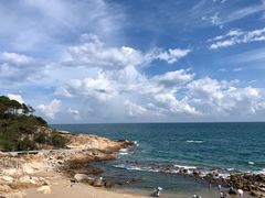 -广东惠东海龟国家级自然保护区